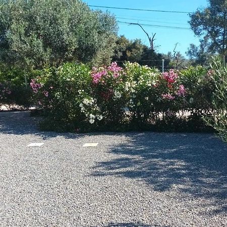 Adelino Guest House Olhão المظهر الخارجي الصورة